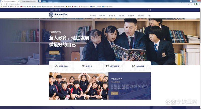 教育机构官网建站